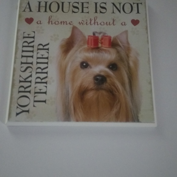 Puppy Pictures - Picture 4 of 8